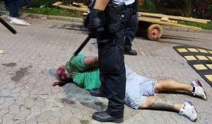 Brutalność duńskiej policji i manipulacje opozycji – prawda o Horodko