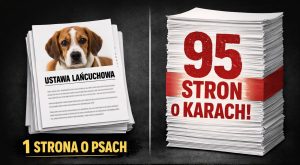 Ustawa łańcuchowa psy